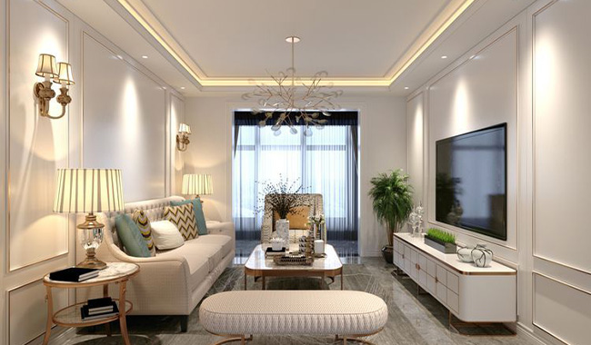 Sophisticated Modern Elegance Living Room